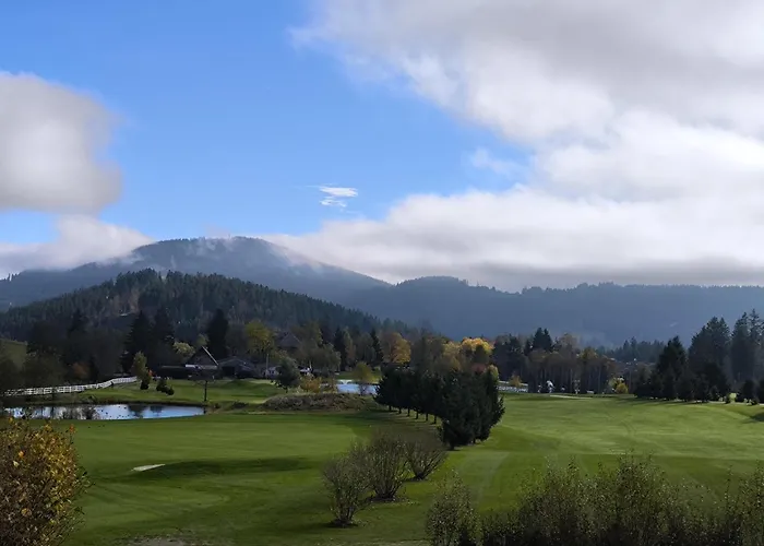 Hotel Saigerhoeh Wellness Spa Golf Wandern Ueber Dem Titisee