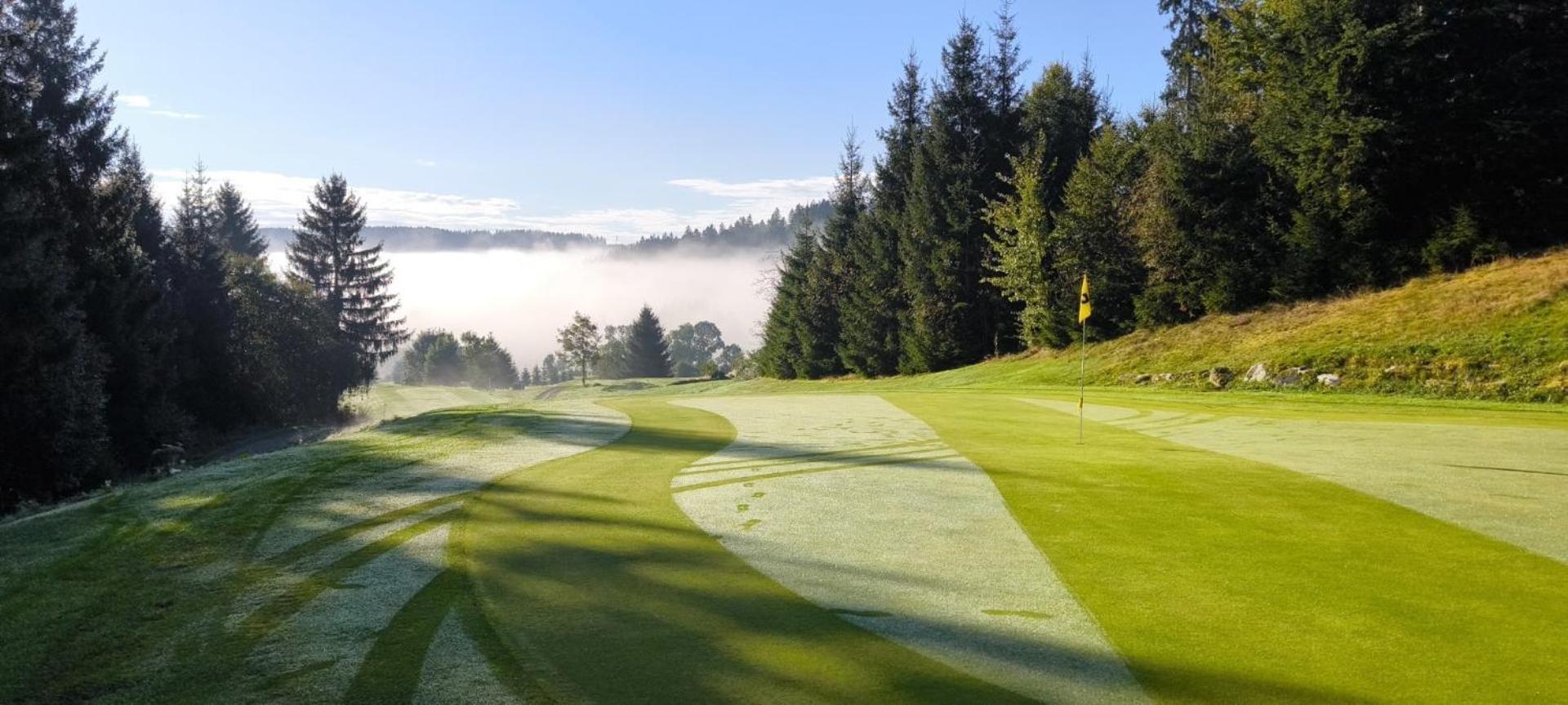 Отель Saigerhoeh Wellness Golf Wandern Ueber Dem Titisee Ленцкирх
